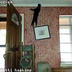 Delbert Hessel Profile Picture