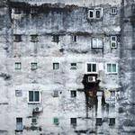 Zita Huels Profile Picture