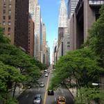 Solange Doe Profile Picture